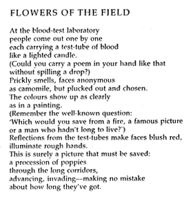 Flowers of the Field by Fleur Adcock