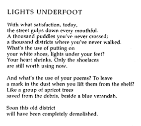 Lights Underfoot by Fleur Adcock